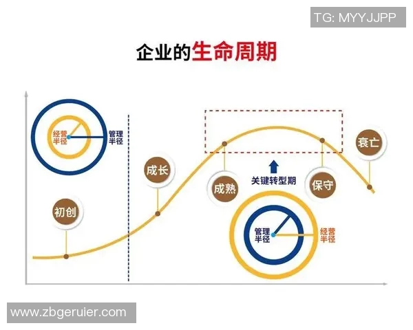 代怀博的成长之路与未来发展展望：从初创到行业领军者的蜕变之旅
